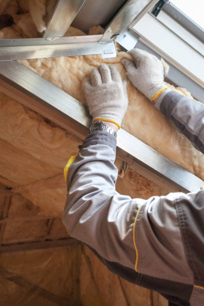 Best Commercial Insulation in Big Spring, TX