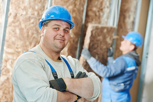 Best Geographic-Specific Insulation Services in Big Spring, TX